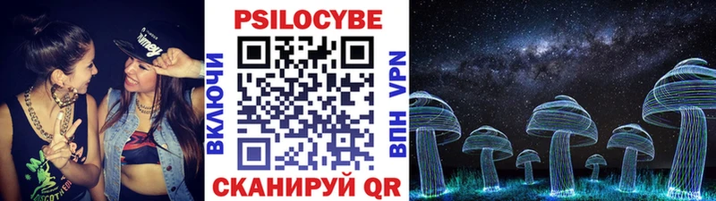 Галлюциногенные грибы Psilocybine cubensis  Нальчик 